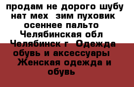 продам не дорого шубу нат.мех, зим.пуховик, осеннее пальто - Челябинская обл., Челябинск г. Одежда, обувь и аксессуары » Женская одежда и обувь   